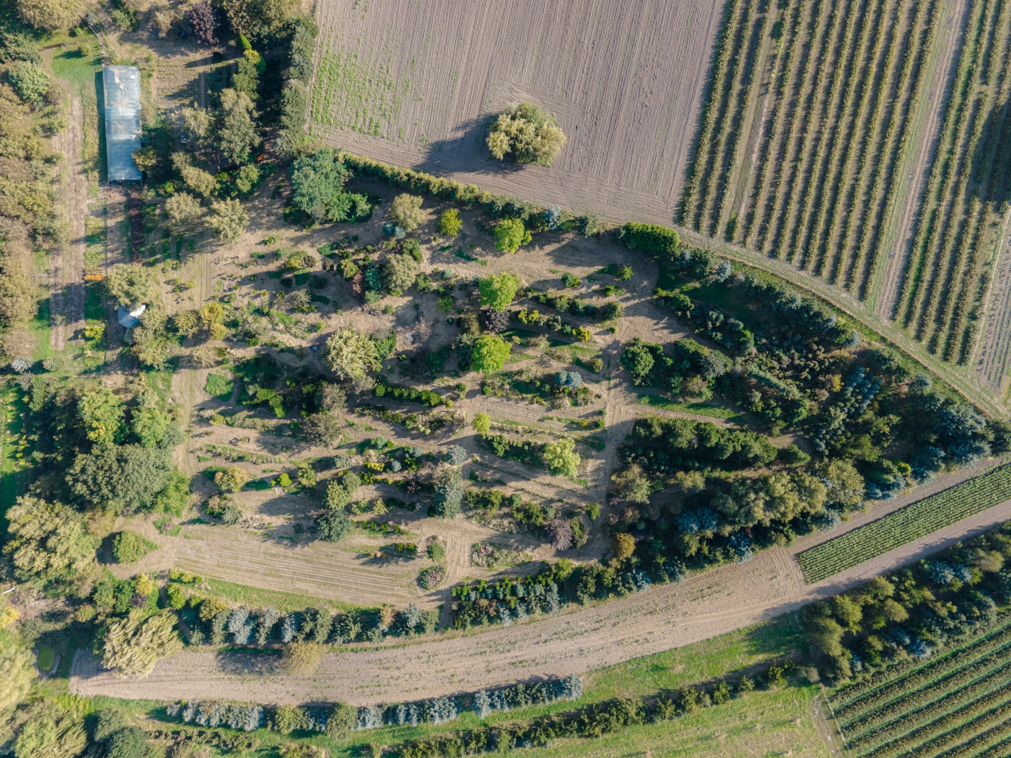 Mapa terenów do gry w laserowy paintball – ścieżki, strefy i wyznaczone pola walki