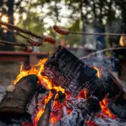 Sobotni wieczór dla dorosłych w Zielonej Strefie